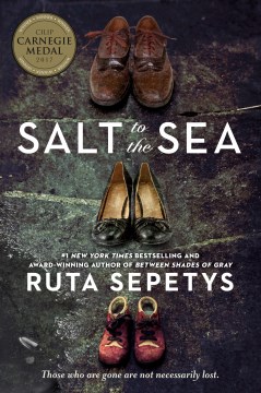 Cover image for Salt to the Sea