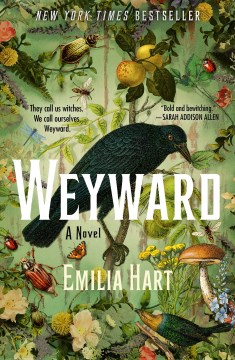 Cover image for Weyward