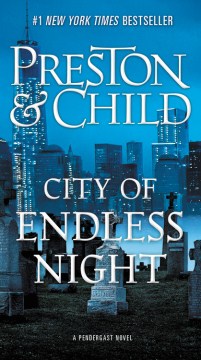 Cover image for City of Endless Night